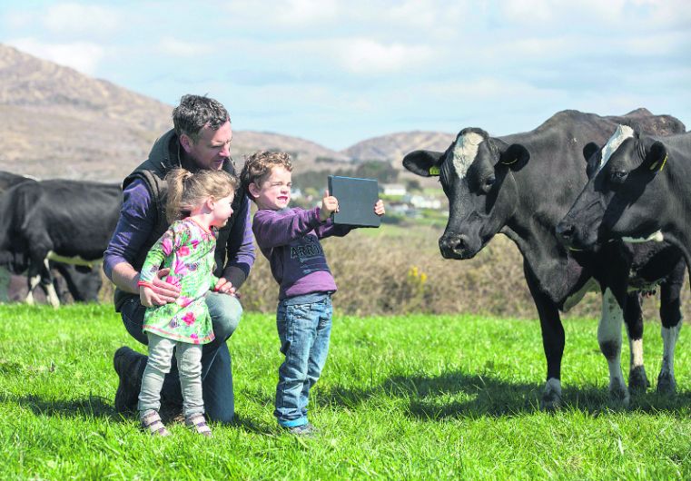 West Cork sustainability stories Image