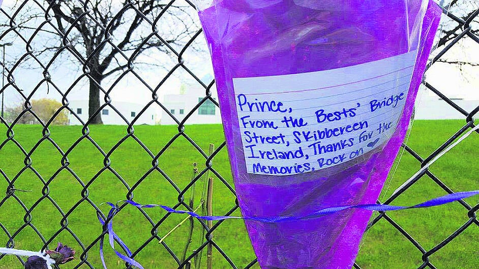 Darren visits Paisley Park for his ‘Best' Cork friends Image