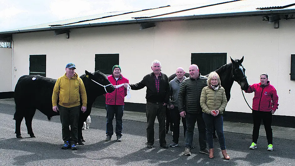 Big West Cork interest in bull sale Image