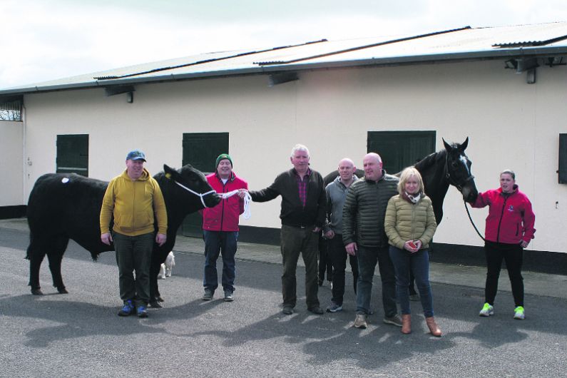 Big West Cork interest in bull sale Image