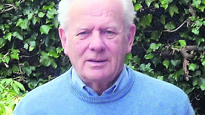 Bord Iascaigh Mhara's 32ft boats were ‘life changers' Image