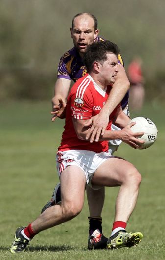 Carbery boss salutes Alan O'Connor and Graham Canty Image