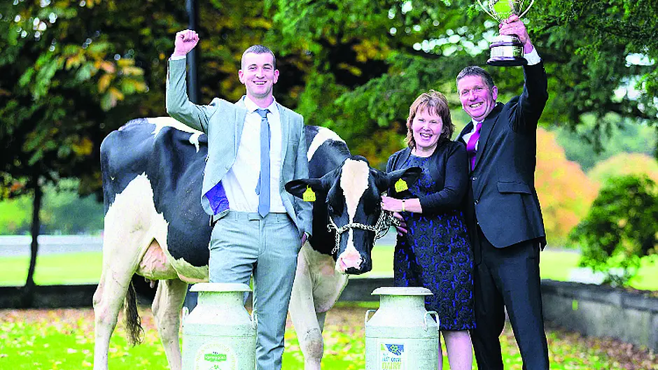 Search on for nation's top dairy farm Image