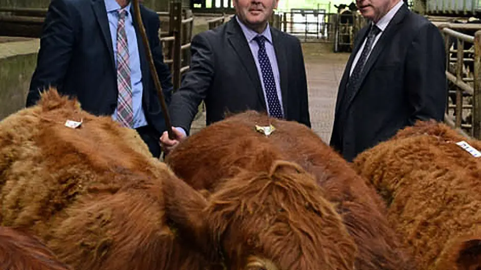 Minister's mart modernisation launch in Bandon Image