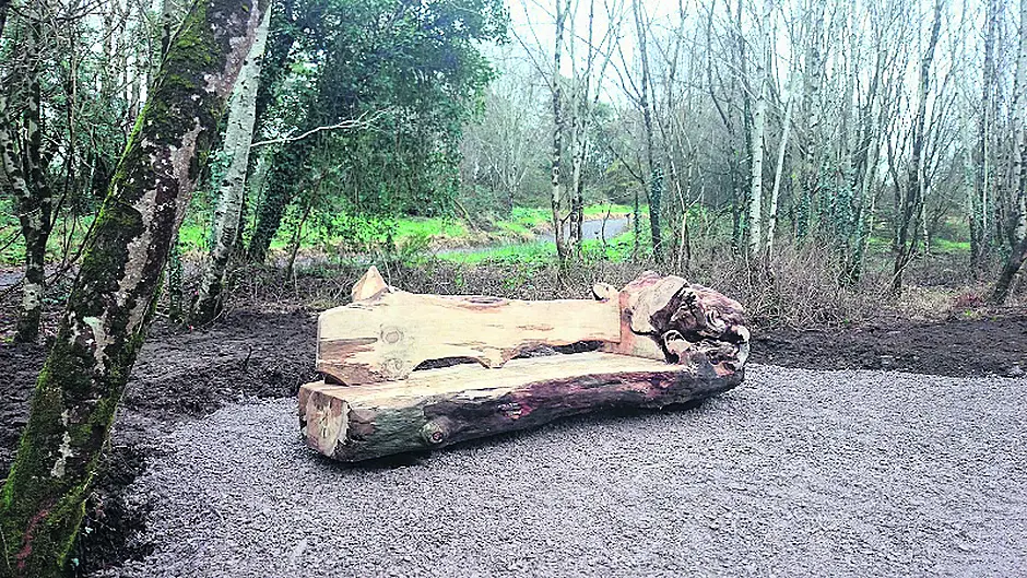 Fairy houses, a gym and loop walk at Kealkil's Carriganass Castle park Image