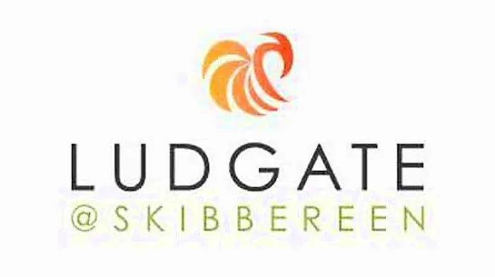 Ludgate opens for business with ‘hot desks' from €19 a day Image