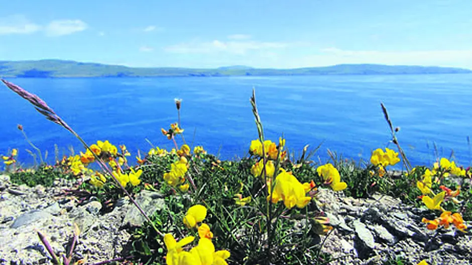 Celebrating the biodiversity of our coast Image