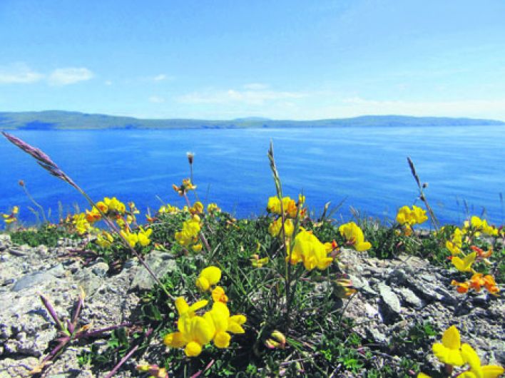 Celebrating the biodiversity of our coast Image