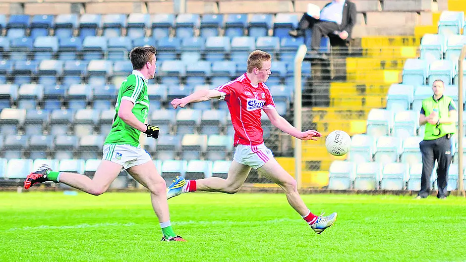 Minor boss calls on Rebel fans to support young guns in Killarney Image