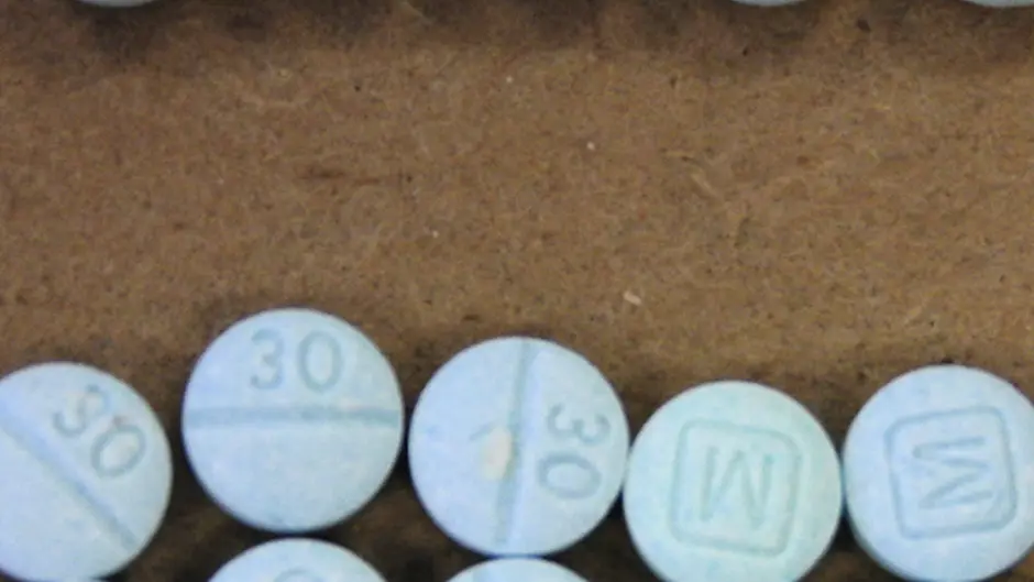 Students union's warning over drug-related deaths in Cork and Dublin Image
