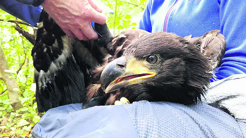 Third time lucky for Glengarriff parents Image