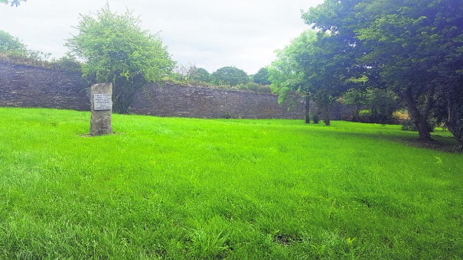 Mass Famine burial ground is revealed in Skibbereen Image