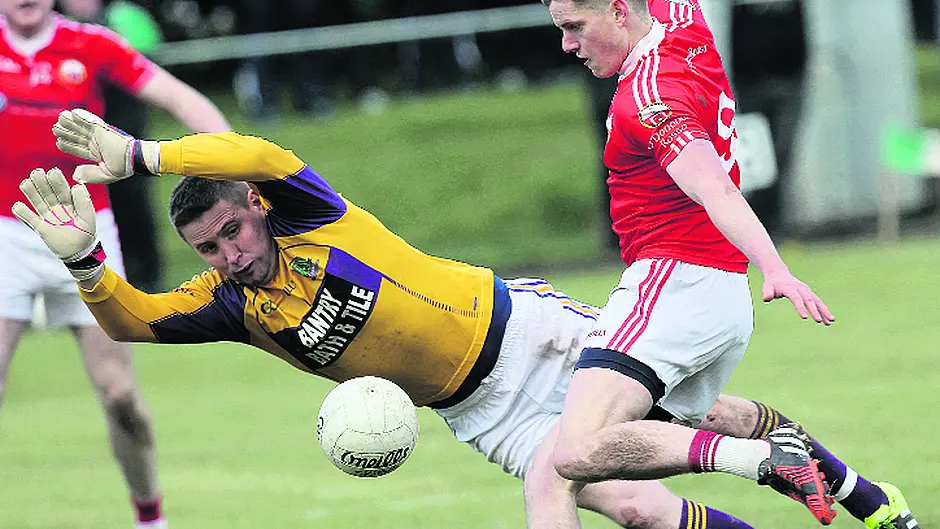 Prendergast hopes Carbery ‘click' before finding Nemo Image