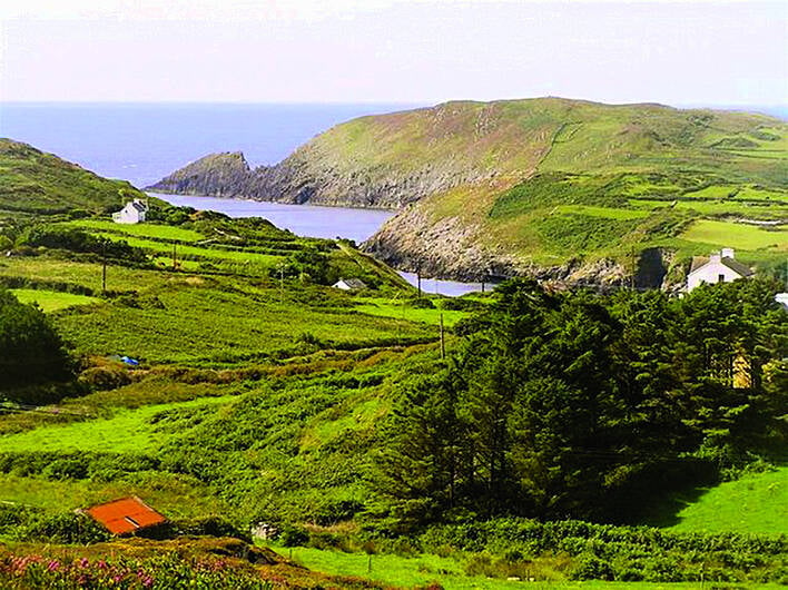 Cape Clear event will recall Rossa's island links Image