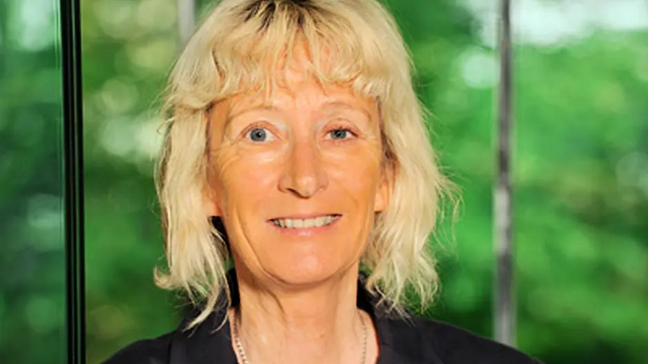Award for Kinsale-based professor's UCC team Image