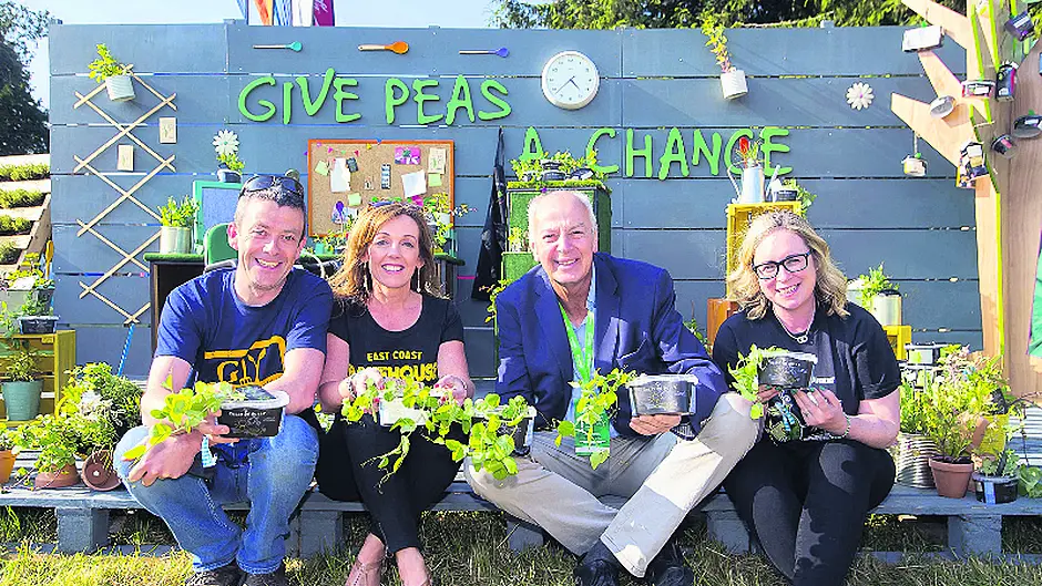 Firms are asked to sign up to the ‘al desco' food challenge Image