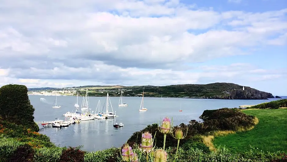 Woman in CUH after suspected jellyfish sting on Sherkin Image