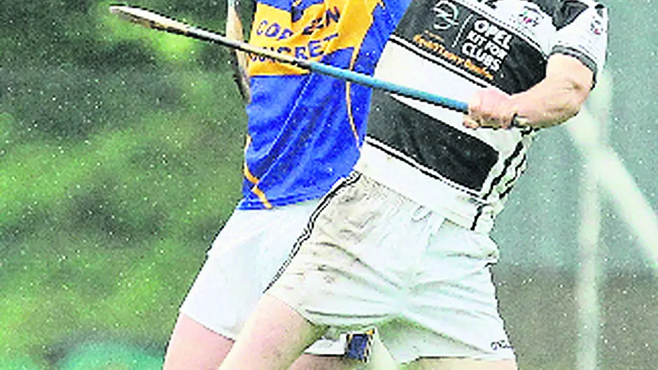 Hurling finalists will be revealed Image