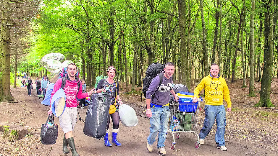 The newbie's guide to Electric Picnic Image