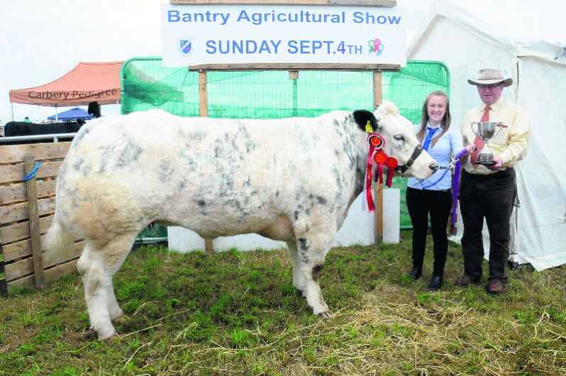 Bantry Show defies the elements Image