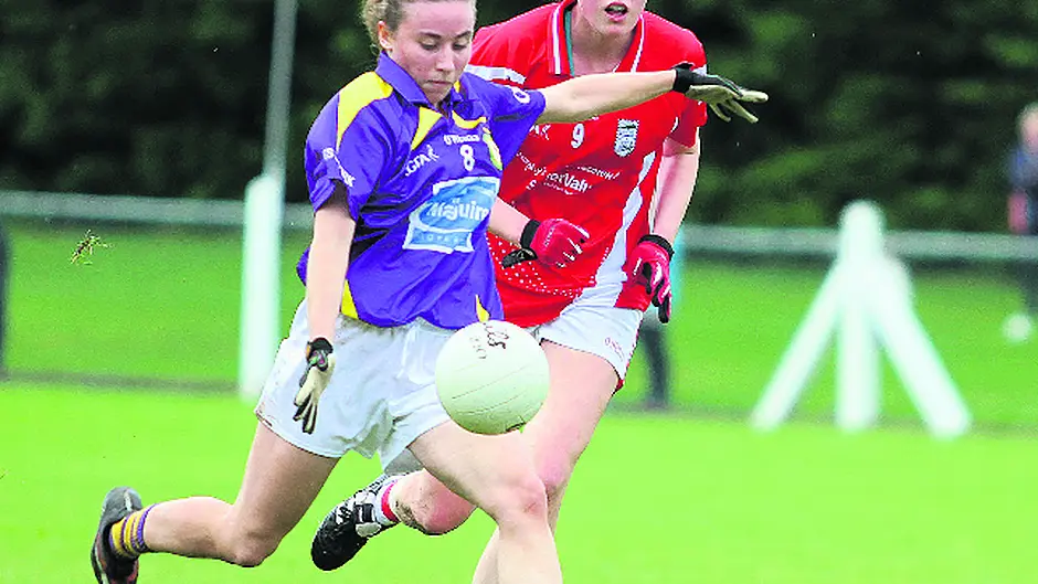 West's best blitz Beara Image
