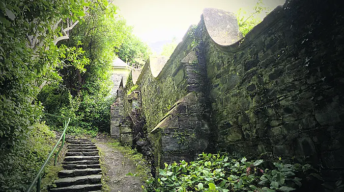 Living history on an island paradise in Bantry Bay Image