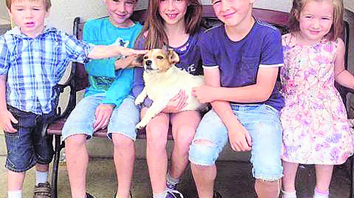 ‘Lilly' the Jack Russell is back home after her five-year ordeal Image
