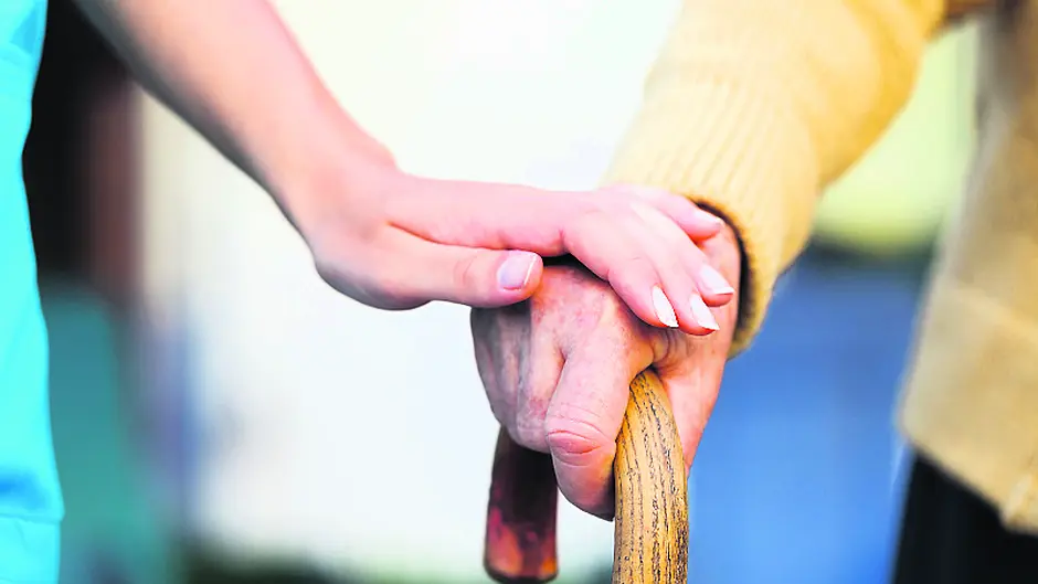 Diet is vital in prevention of Alzheimer's Image