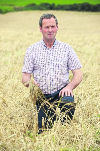 Farmer facing €10,000 loss on ruined crop Image