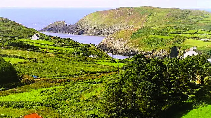 Council gives funding to West Cork's 1916 events Image