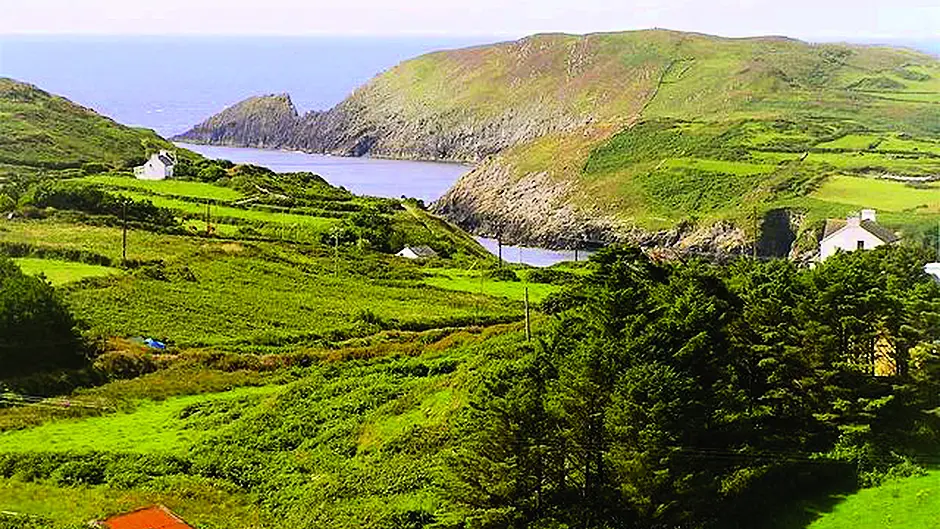Council gives funding to West Cork's 1916 events Image