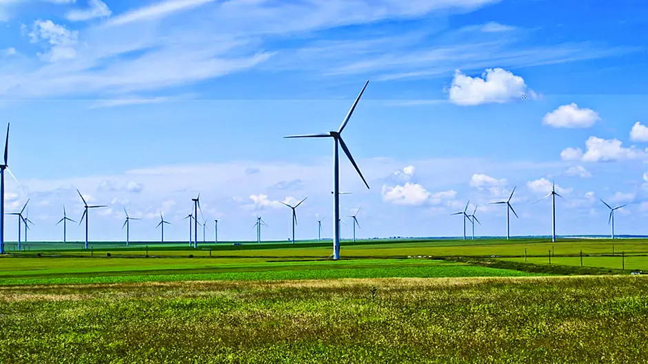 Local firm is seeking permission to build 68-hectare windfarm Image