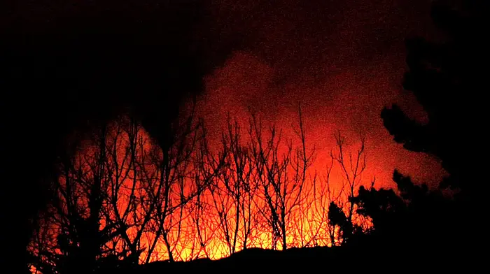 Hurley welcomes extension to the hedge-cutting and burning season Image