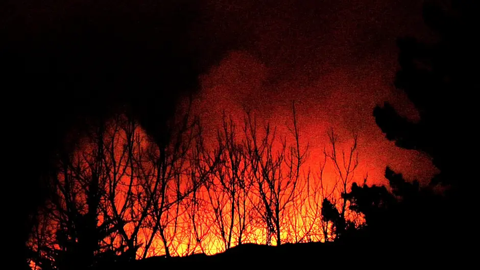 Hurley welcomes extension to the hedge-cutting and burning season Image