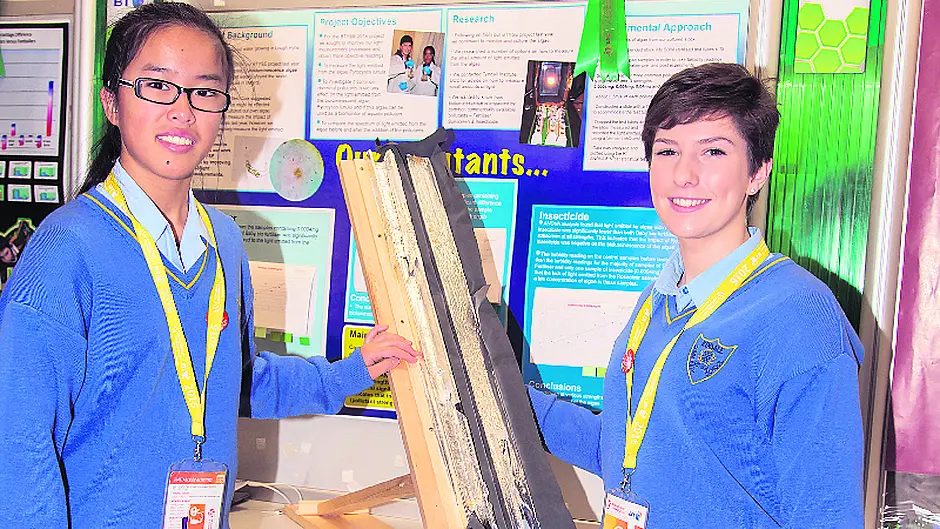 Good showing for West Cork schools in 52nd BT Young Scientists awards Image