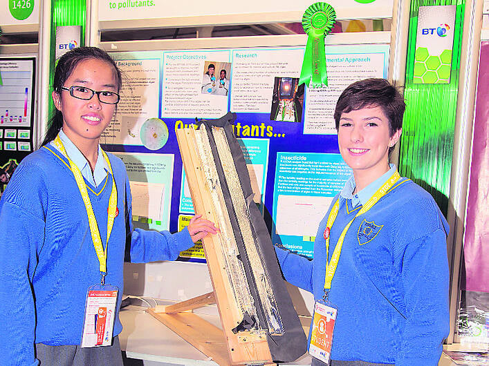 Good showing for West Cork schools in 52nd BT Young Scientists awards Image