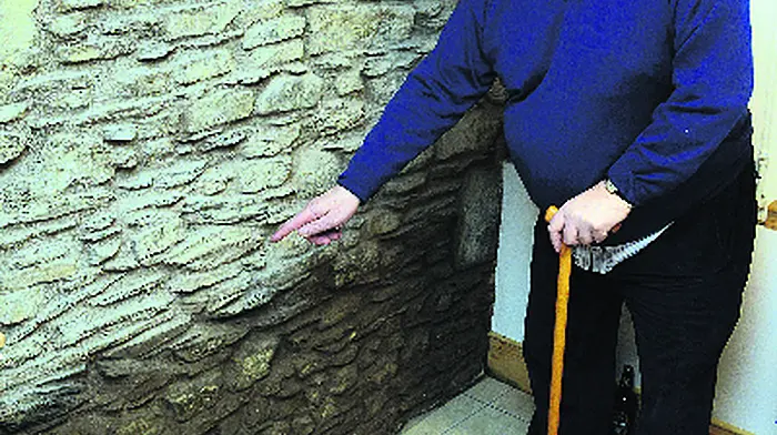 Innishannon: ‘There wasn't  even one sandbag delivered' Image