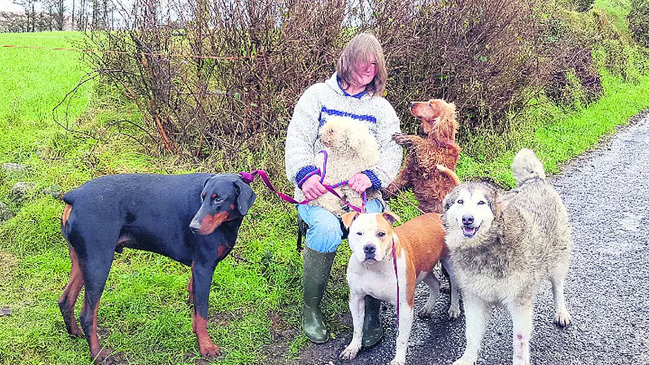 Anita appeals for help to build her Ballydehob rescue centre Image