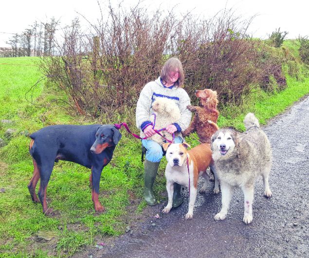 Anita appeals for help to build her Ballydehob rescue centre | Southern Star