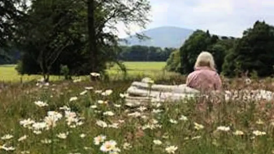 Bantry group is seeking five-acre site for its woodland burial plots Image