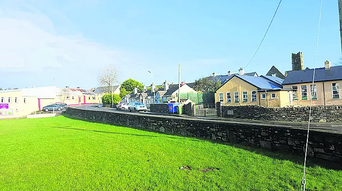 Town's green could make crossing a safer option Image