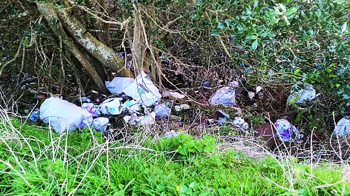 Motorist furious at filth along N71 Image