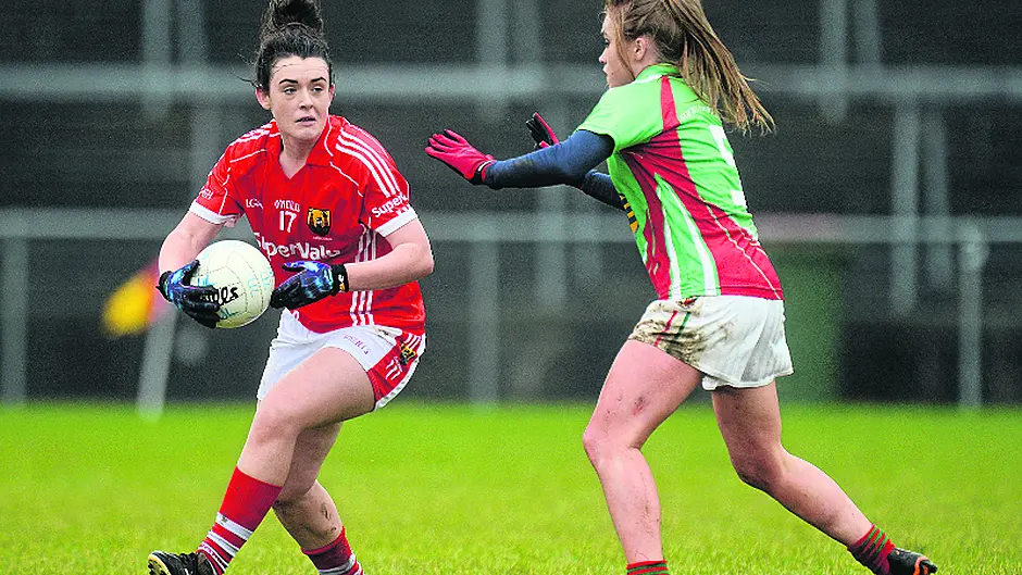 Fitzgerald has made  an instant impression, says O'Brien Image