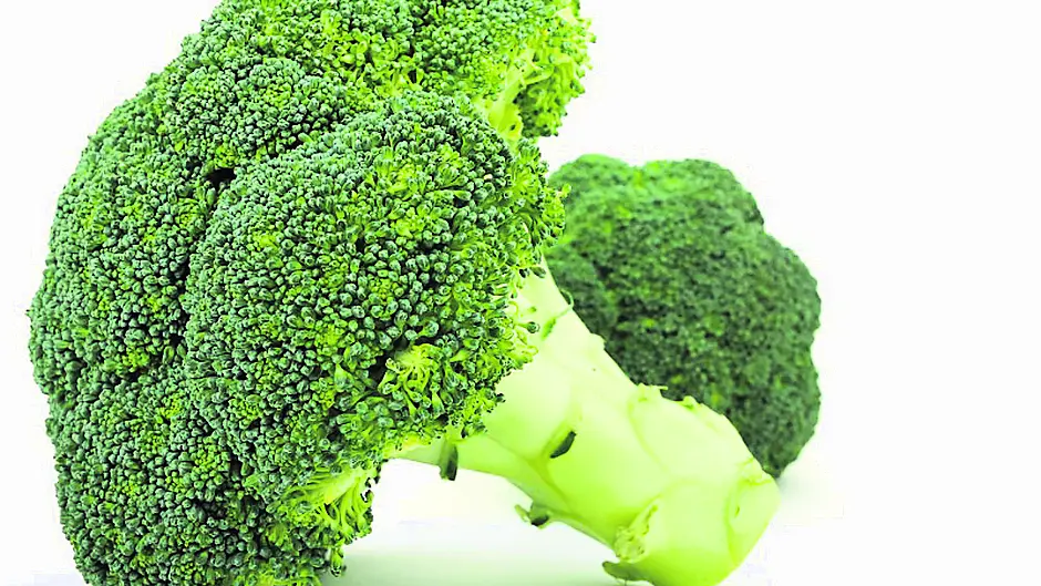 Try to control factors that cause cancer Image