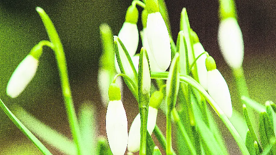 It won't be too long now! Image