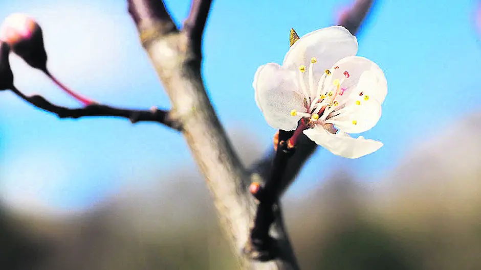 Nature is on the move again! Image
