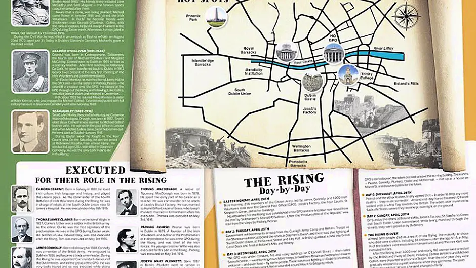 Get your free 1916 poster in this week's Southern Star Image