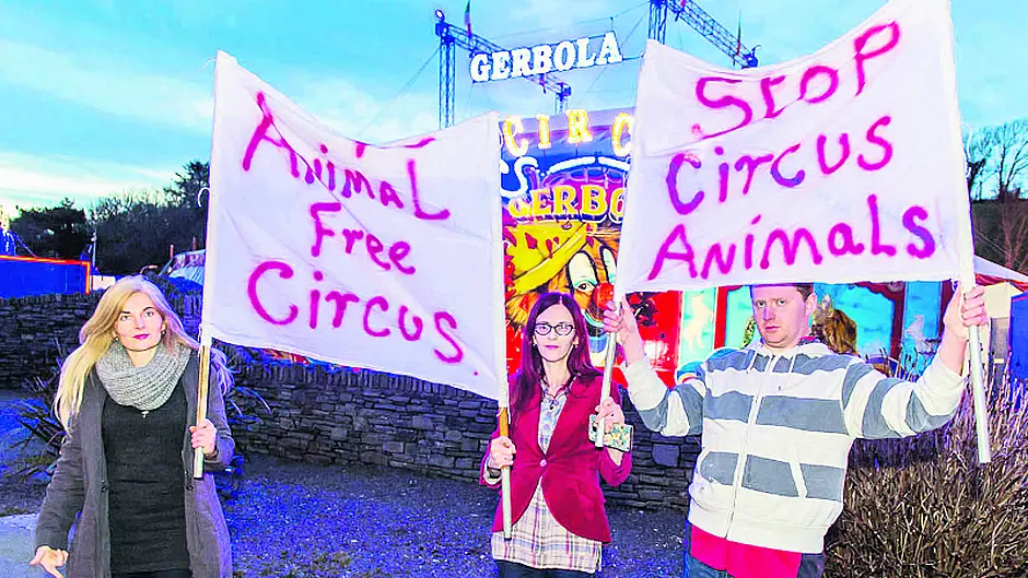 Protesters at Bantry circus Image