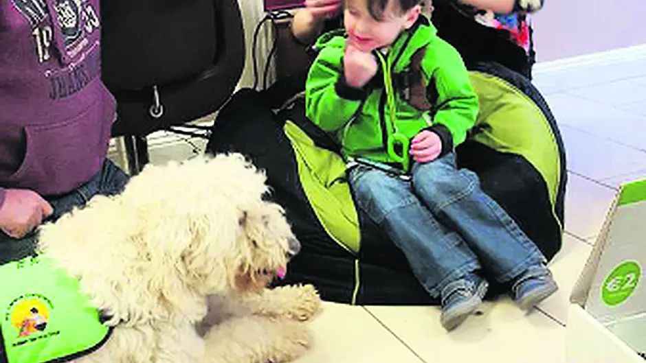 Clonakilty's shops are happy to take part in World Autism Day Image