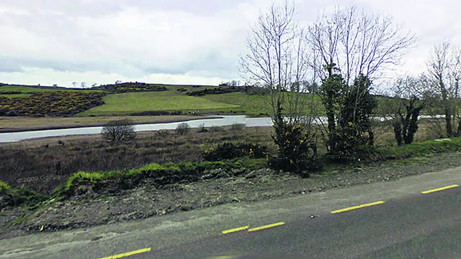 Clonakilty's forest at Gullane is ‘branching out' into community Image